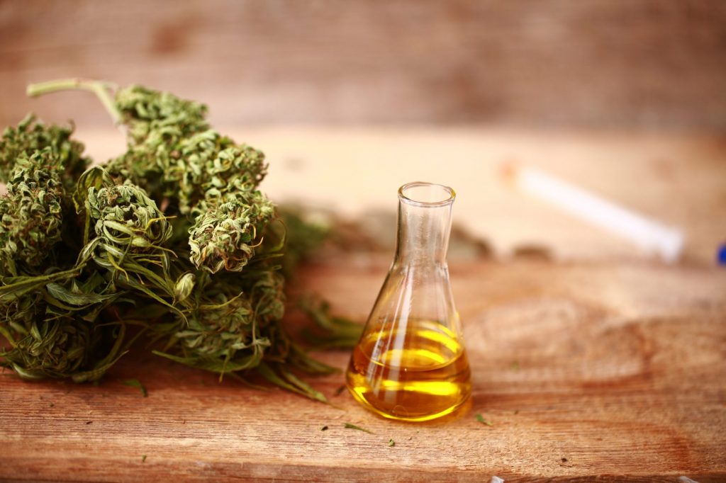 Best CBD Oils for Pets: Safe and Effective Options