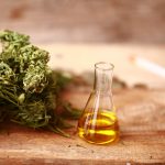 Best CBD Oils for Pets: Safe and Effective Options